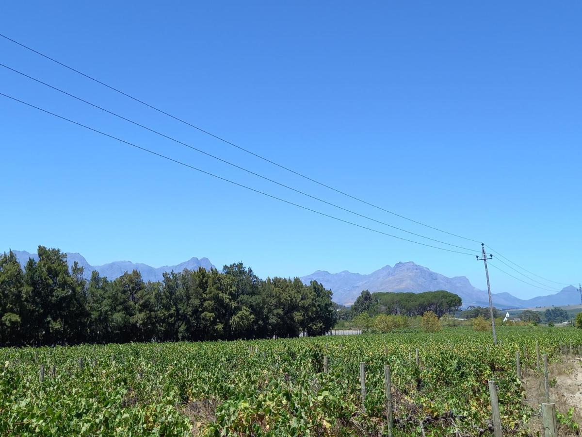 Rouana Guest Farm Hotel Stellenbosch Exterior photo