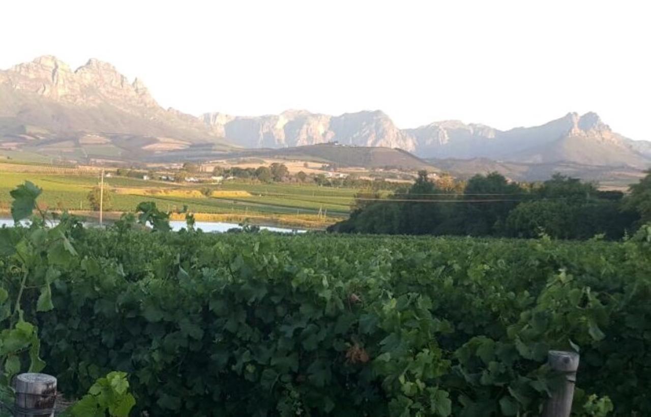 Rouana Guest Farm Hotel Stellenbosch Exterior photo