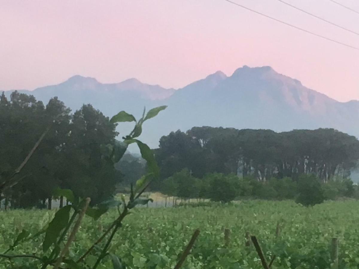 Rouana Guest Farm Hotel Stellenbosch Exterior photo